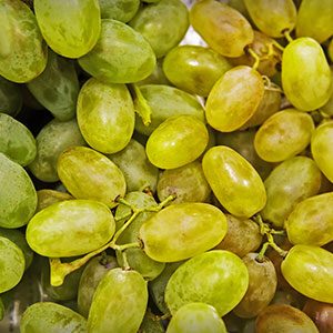 Thompson Seedless